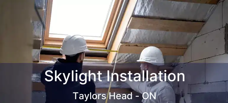  Skylight Installation Taylors Head - ON