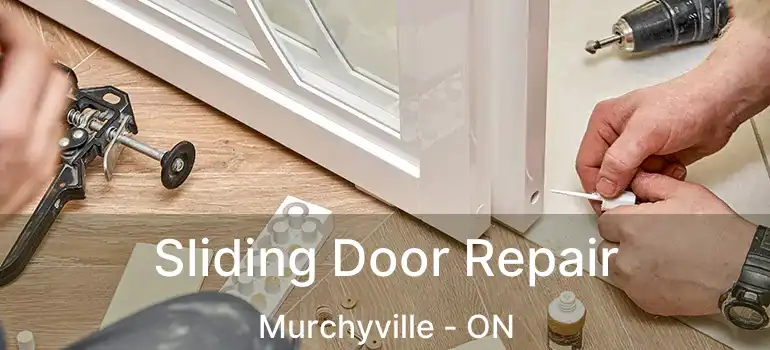  Sliding Door Repair Murchyville - ON
