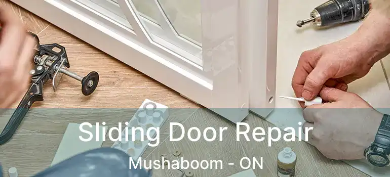  Sliding Door Repair Mushaboom - ON