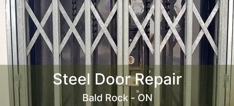  Steel Door Repair Bald Rock - ON