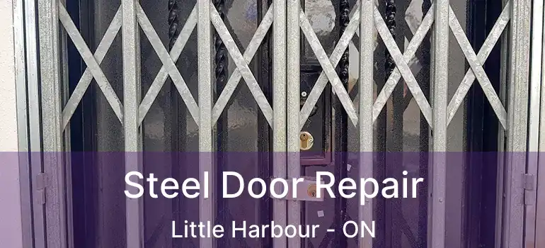 Steel Door Repair Little Harbour - ON