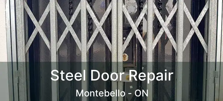  Steel Door Repair Montebello - ON