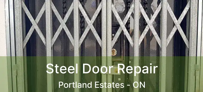  Steel Door Repair Portland Estates - ON
