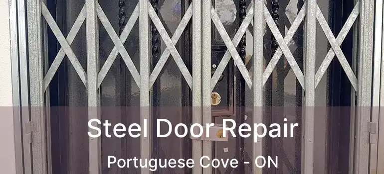  Steel Door Repair Portuguese Cove - ON
