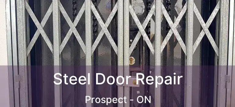  Steel Door Repair Prospect - ON