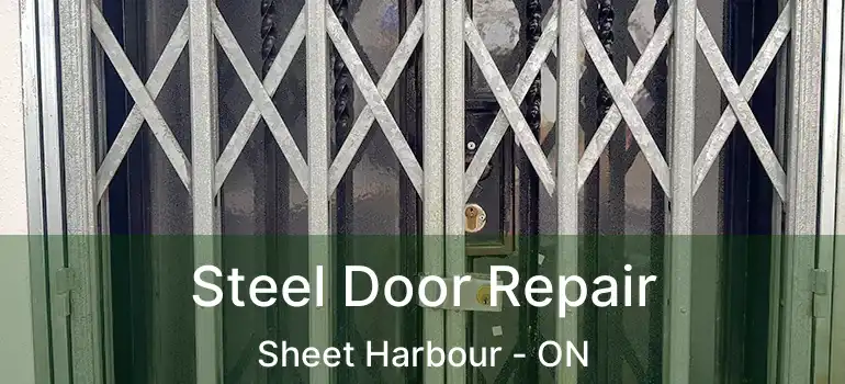  Steel Door Repair Sheet Harbour - ON