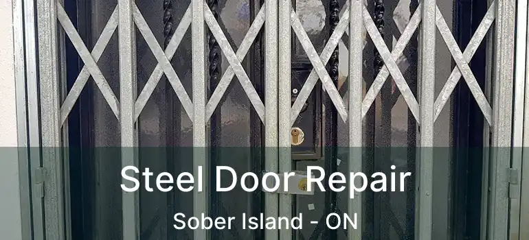 Steel Door Repair Sober Island - ON