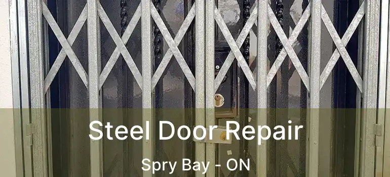  Steel Door Repair Spry Bay - ON
