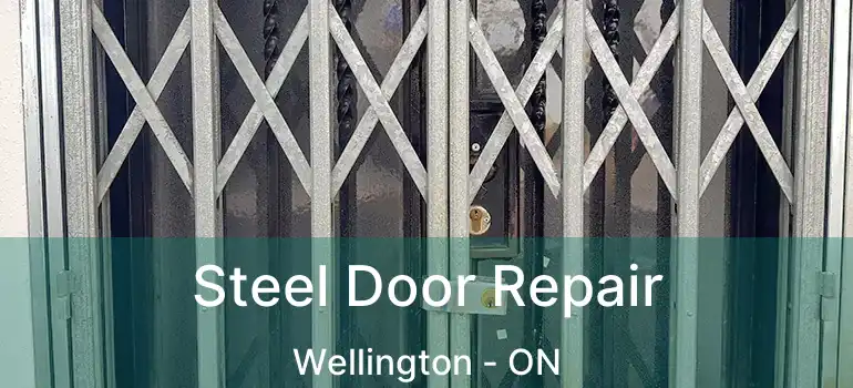  Steel Door Repair Wellington - ON