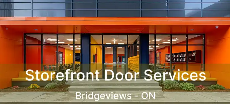  Storefront Door Services Bridgeviews - ON