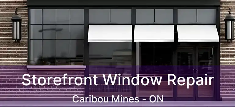  Storefront Window Repair Caribou Mines - ON