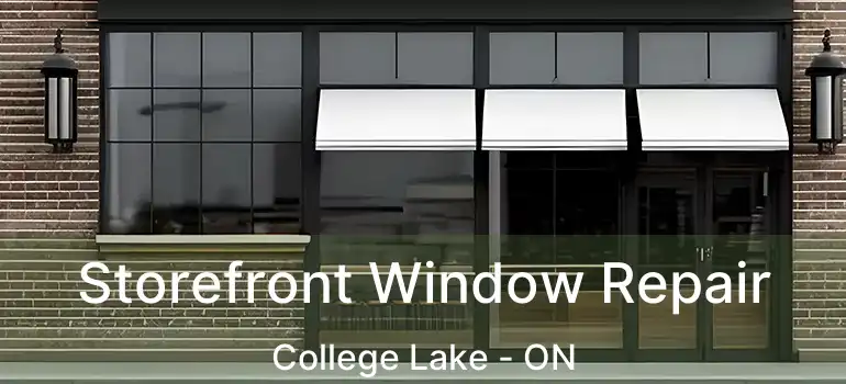  Storefront Window Repair College Lake - ON