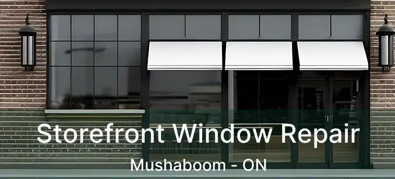  Storefront Window Repair Mushaboom - ON