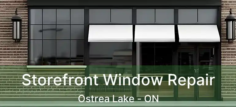  Storefront Window Repair Ostrea Lake - ON