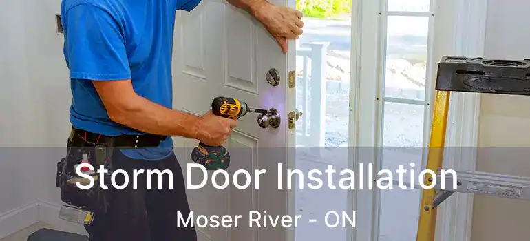  Storm Door Installation Moser River - ON