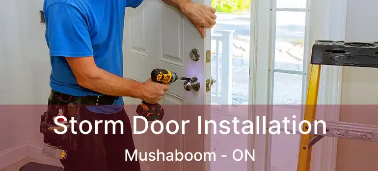 Storm Door Installation Mushaboom - ON