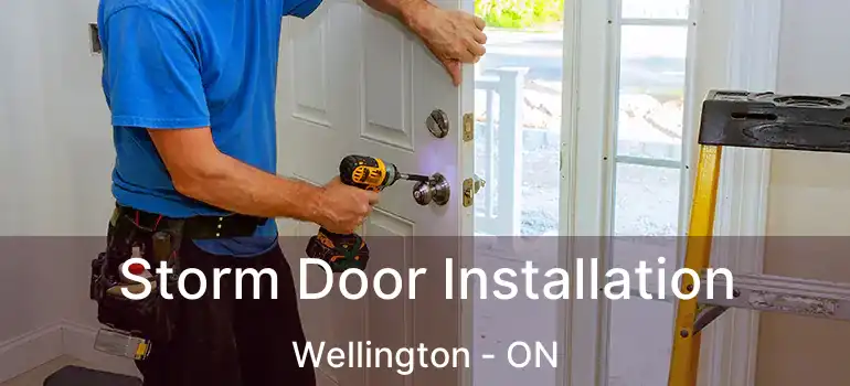  Storm Door Installation Wellington - ON