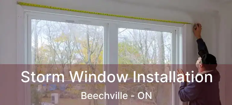  Storm Window Installation Beechville - ON