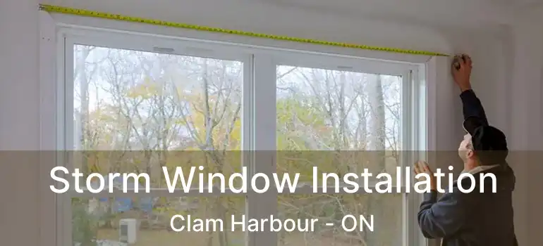  Storm Window Installation Clam Harbour - ON
