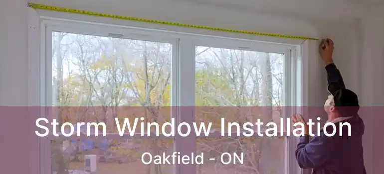  Storm Window Installation Oakfield - ON