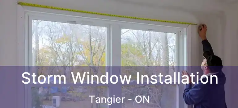  Storm Window Installation Tangier - ON
