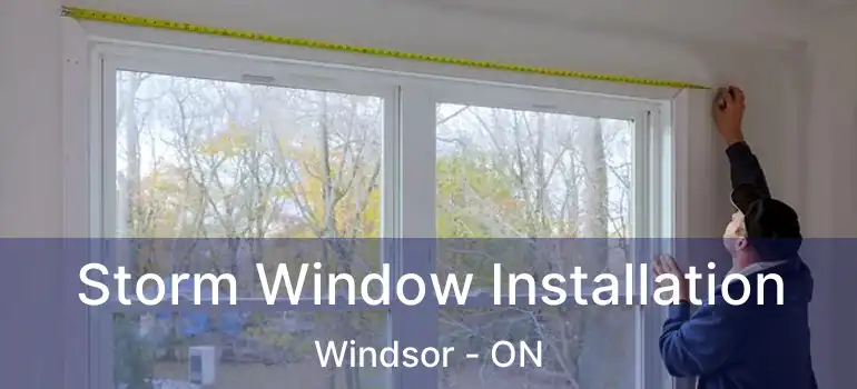 Storm Window Installation Windsor - ON