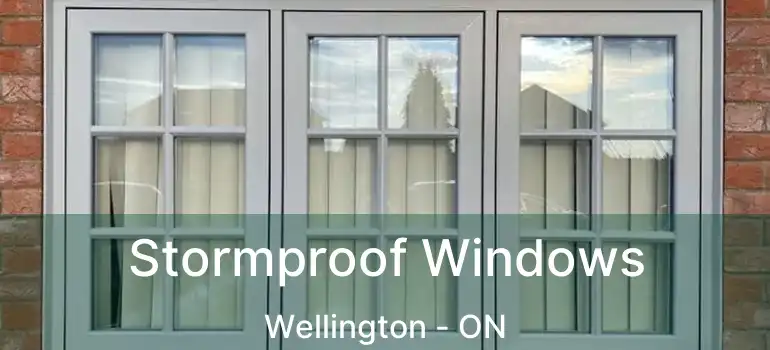  Stormproof Windows Wellington - ON