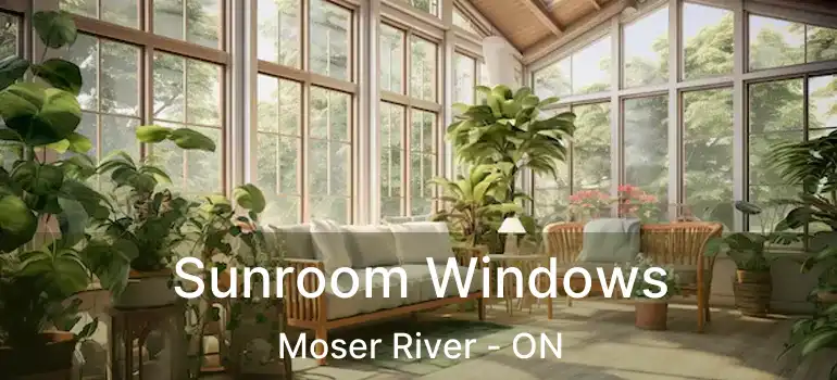  Sunroom Windows Moser River - ON