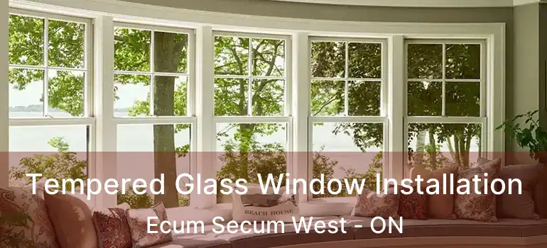  Tempered Glass Window Installation Ecum Secum West - ON