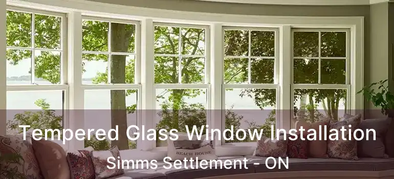  Tempered Glass Window Installation Simms Settlement - ON
