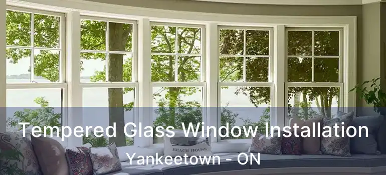  Tempered Glass Window Installation Yankeetown - ON