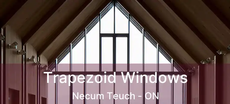  Trapezoid Windows Necum Teuch - ON