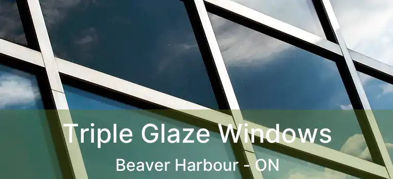  Triple Glaze Windows Beaver Harbour - ON
