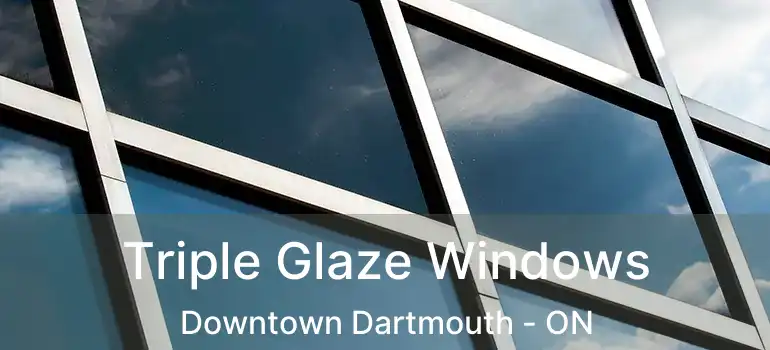  Triple Glaze Windows Downtown Dartmouth - ON