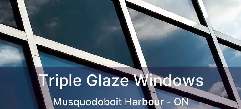  Triple Glaze Windows Musquodoboit Harbour - ON