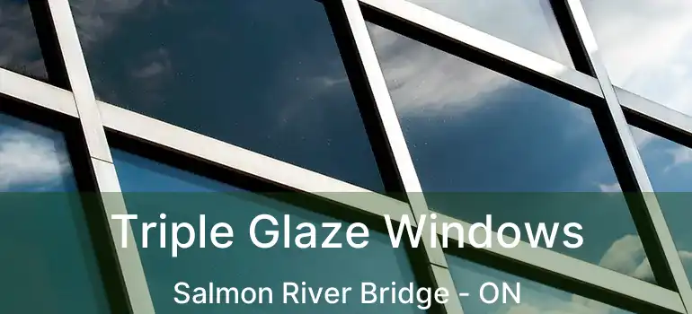  Triple Glaze Windows Salmon River Bridge - ON