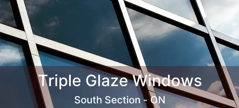  Triple Glaze Windows South Section - ON