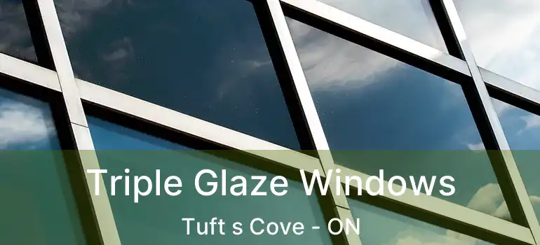  Triple Glaze Windows Tuft s Cove - ON