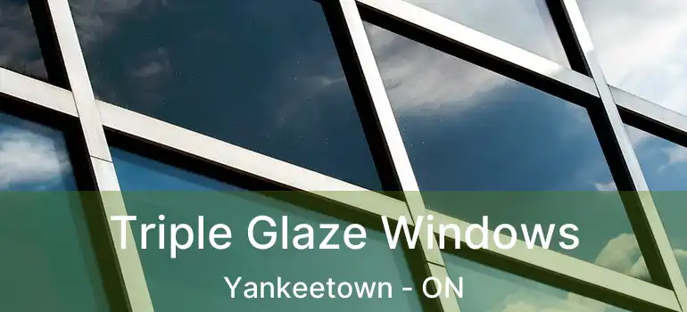  Triple Glaze Windows Yankeetown - ON