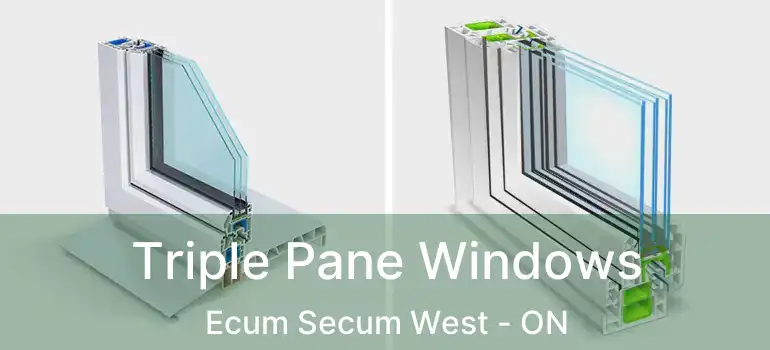  Triple Pane Windows Ecum Secum West - ON
