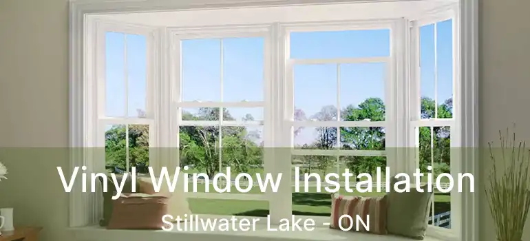  Vinyl Window Installation Stillwater Lake - ON