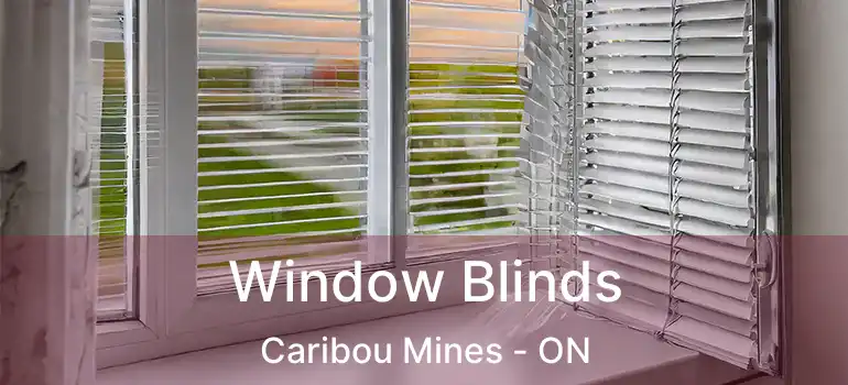  Window Blinds Caribou Mines - ON