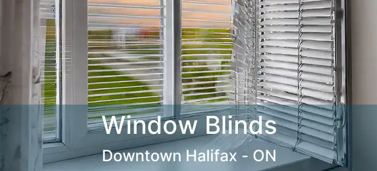  Window Blinds Downtown Halifax - ON