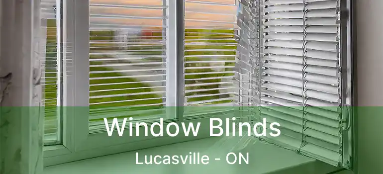  Window Blinds Lucasville - ON
