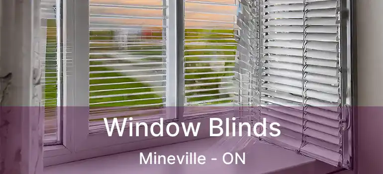  Window Blinds Mineville - ON