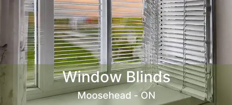  Window Blinds Moosehead - ON