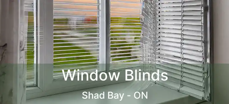  Window Blinds Shad Bay - ON