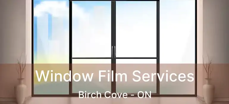  Window Film Services Birch Cove - ON