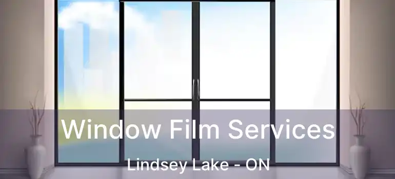 Window Film Services Lindsey Lake - ON
