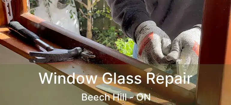  Window Glass Repair Beech Hill - ON